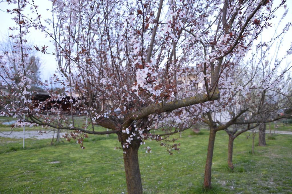 Apartment Casa Della Nonna Noventa di Piave