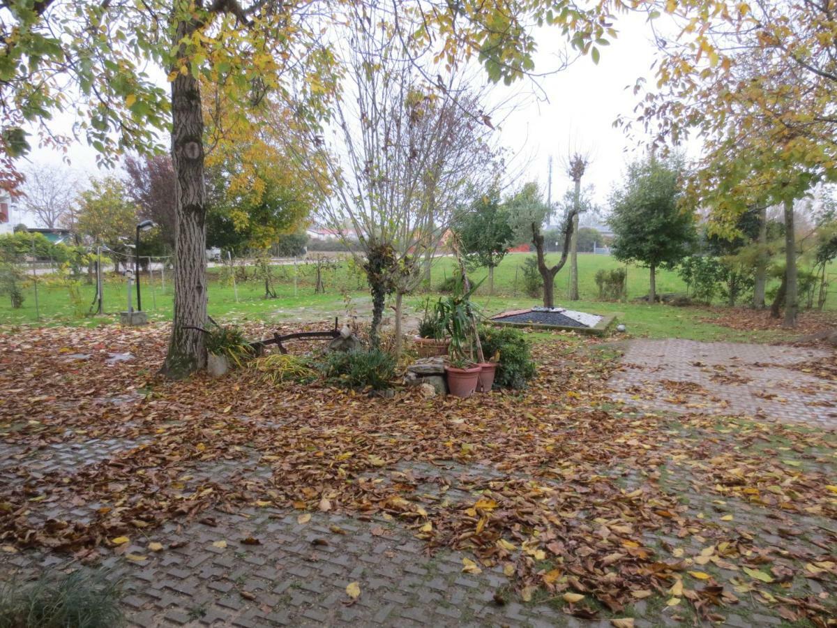 Apartment Casa Della Nonna Noventa di Piave