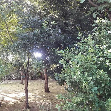 Appartamento Casa Della Nonna Noventa di Piave Exterior photo