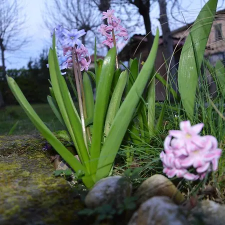 Appartamento Casa Della Nonna Noventa di Piave Exterior photo